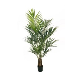 Lot de 1 Palmier kentia avec 304 feuilles dans un pot en plastique ø 21 cm, h 17,5 cm, 210 cm artificiel rouge 
