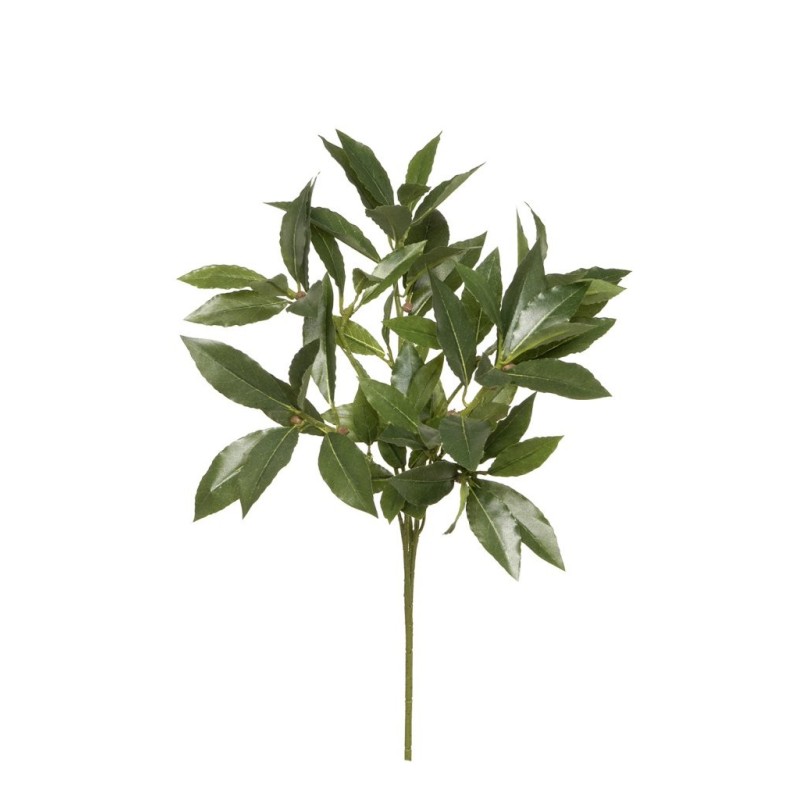 Lot de 24 - Tige artificielle de laurier X74, 45 cm - vert 