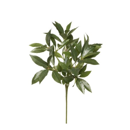 Lot de 24 - Tige artificielle de laurier X74, 45 cm - vert 