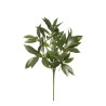 Lot de 24 - Tige artificielle de laurier X74, 45 cm - vert 