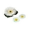 Lot de 24 - Marguerite gerbera artificielle flottante, 11 cm - crème 