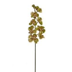 Lot de 6 - Tige artificielle d'orchidée Phalaenopsis, 85 cm - vert 