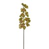 Lot de 6 - Tige artificielle d'orchidée Phalaenopsis, 85 cm - vert 