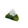 Lot de 12 - Rond de serviette artificiel hortensia, 10 cm - crème 