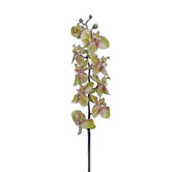 Lot de 6 - Tige artificielle d'orchidée Phalaenopsis, 100 cm - vert 