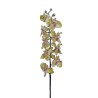 Lot de 6 - Tige artificielle d'orchidée Phalaenopsis, 100 cm - vert 