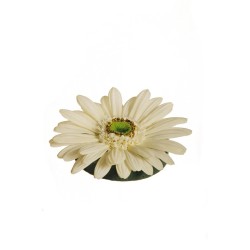 Lot de 24 - Gerbera artificiel flottant, D. 12,5 cm - blanc 