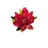 Lot de 12 - Fleur de lotus artificielle flottante satinée, D. 19,5 cm - fuchsia 