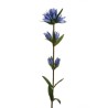 Lot de 24 - Tige artificielle de gentiane, 66 cm - bleu 