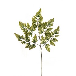 Lot de 36 - Tige artificielle de fougère de Boston X5, 70 cm - vert 
