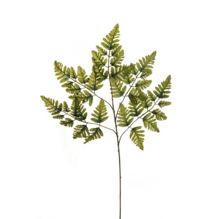 Lot de 36 - Tige artificielle de fougère de Boston X5, 70 cm - vert 