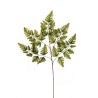 Lot de 36 - Tige artificielle de fougère de Boston X5, 70 cm - vert 