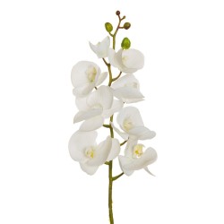Lot de 12 - Orchidée Phalaenopsis artificielle toucher réel X7, 102 cm - blanc 