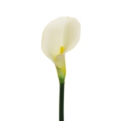 Lot de 12 - Calla artificielle, 75 cm - blanc 