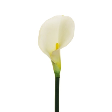Lot de 12 - Calla artificielle, 75 cm - blanc 