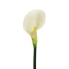 Lot de 12 - Calla artificielle, 75 cm - blanc 
