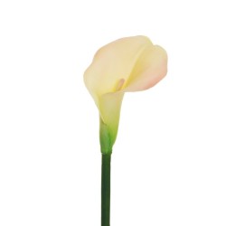 Lot de 12 - Calla artificielle, 75 cm - crème rose 