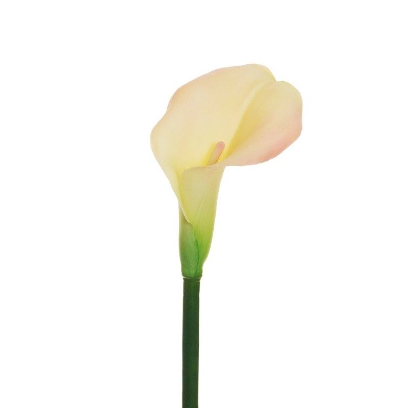 Lot de 12 - Calla artificielle, 75 cm - crème rose 