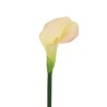 Lot de 12 - Calla artificielle, 75 cm - crème rose 