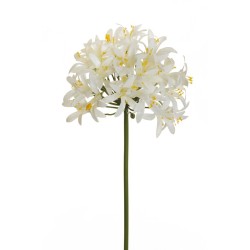 Lot de 12 - Agapanthe artificielle, 82 cm - crème 