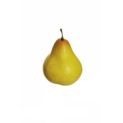Lot de 36 - Poire artificielle toucher réel, 11,5 cm - jaune vert 
