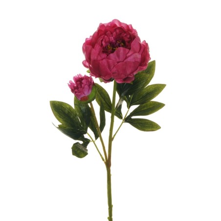 Lot de 12 - Tige artificielle de pivoine X2, 66 cm - fuchsia 