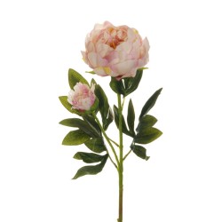 Lot de 12 - Tige artificielle de pivoine X2, 66 cm - crème rose 