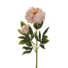 Lot de 12 - Tige artificielle de pivoine X2, 66 cm - crème rose 
