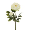 Lot de 12 - Tige artificielle de pivoine X2, 66 cm - blanc cassé 
