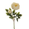 Lot de 12 - Tige artificielle de pivoine X2, 66 cm - crème 