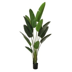 Lot de 2 - Plante artificielle oiseau de paradis en pot, 210 cm - vert 