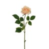 Lot de 24 - Rose Equateur artificielle, 65 cm - saumon 