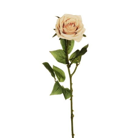 Lot de 24 - Rose Equateur artificielle, 65 cm - écru 