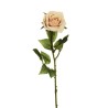 Lot de 24 - Rose Equateur artificielle, 65 cm - écru 