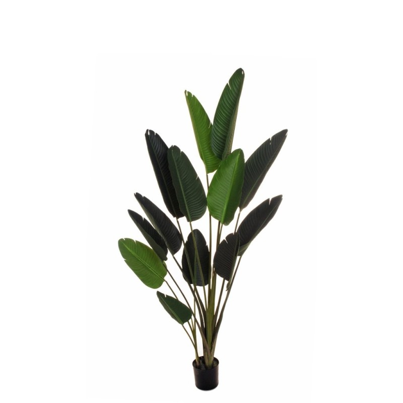 Lot de 2 - Plante artificielle oiseau de paradis en pot, 180 cm - vert 