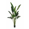 Plante artificielle oiseau de paradis en pot, 240 cm - vert 
