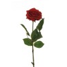 Lot de 24 - Rose Equateur artificielle, 65 cm - rouge 