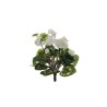 Lot de 24 - Buisson artificiel de cyclamen X10, 29 cm - blanc 