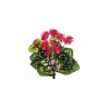 Lot de 24 - Buisson artificiel de cyclamen X10, 29 cm - fuchsia 