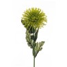 Lot de 36 - Chrysanthème araignée artificiel, 80 cm - vert 