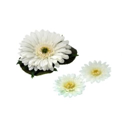 Lot de 24 Gerbera daisy avec 2 fws, cm 11/6/6, flottant artificiel crème/fw221 