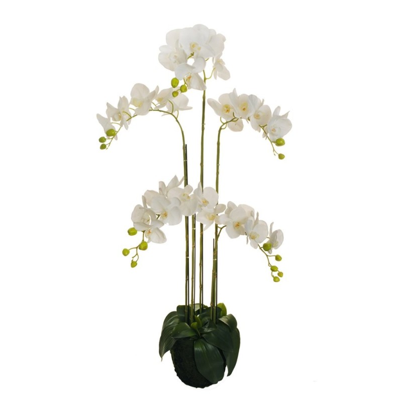 Plante artificielle d'orchidée Phalaenopsis toucher réel, 125 cm - blanc 