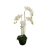 Plante artificielle d'orchidée Phalaenopsis toucher réel, 108 cm - blanc 