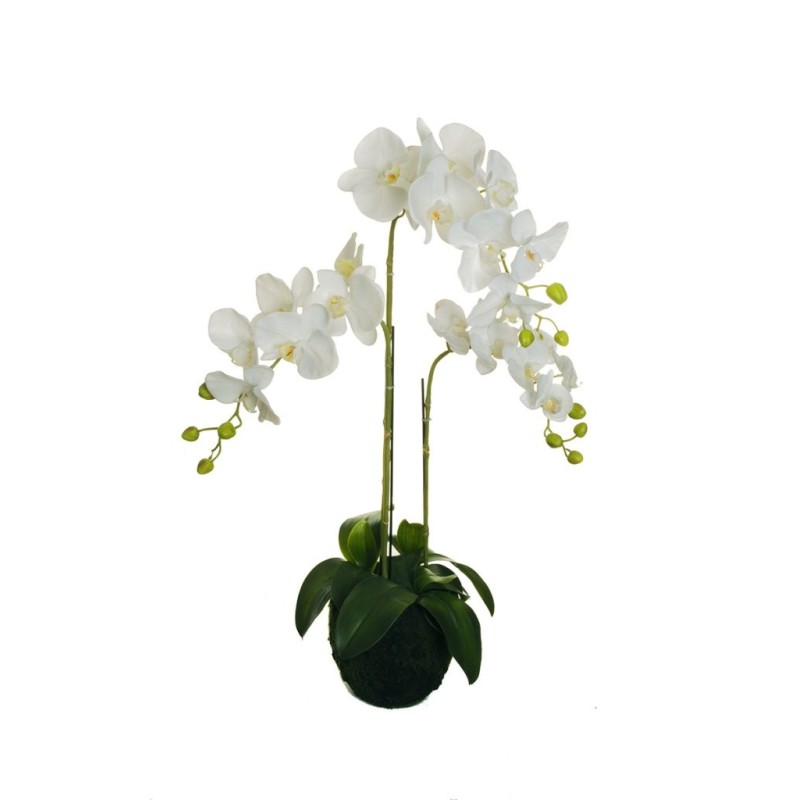 Lot de 2 - Plante artificielle d'orchidée Phalaenopsis toucher réel, 83 cm - blanc 