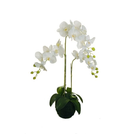 Lot de 2 - Plante artificielle d'orchidée Phalaenopsis toucher réel, 83 cm - blanc 