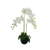Lot de 2 - Plante artificielle d'orchidée Phalaenopsis toucher réel, 83 cm - blanc 