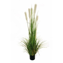 Lot de 4 - Plante artificielle d'herbe de pampa en pot, 150 cm - vert clair blanc 