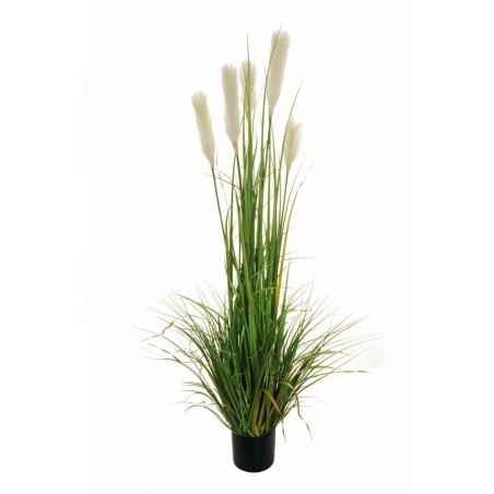 Lot de 4 - Plante artificielle d'herbe de pampa en pot, 150 cm - vert clair blanc 