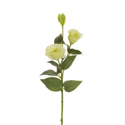 Lot de 36 - Tige artificielle de lisianthus floquée X2, 71 cm - vert clair 
