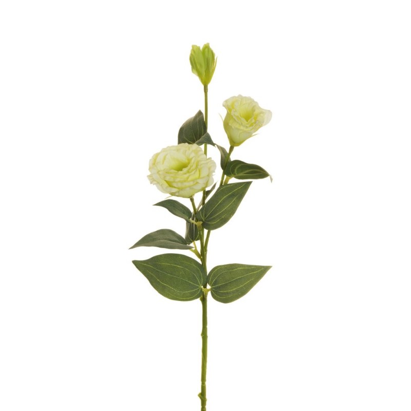 Lot de 36 - Tige artificielle de lisianthus floquée X2, 71 cm - vert clair 